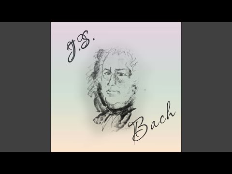 Organ Sonata No. 3 in D Minor, BWV 527: I. Andante