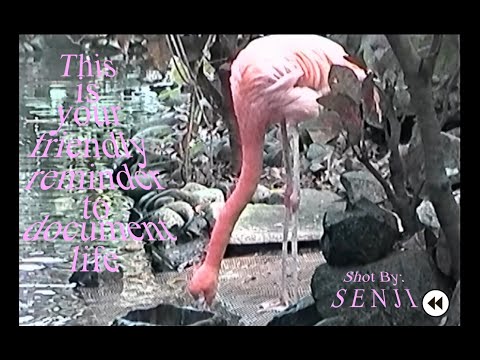 [raw cuts 002] Sony Hi8 -Shot by S E N J I