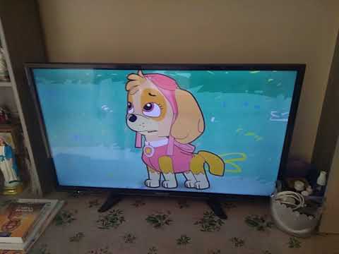 mongo e Drongo com : PJ masks , patrulha canina,Masha e o 🐻 e Thomas