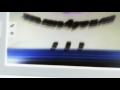 6 0 I KILLED PINGU OUTRO