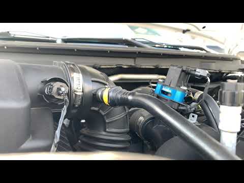 Ford Ranger Boomba Racing BOV