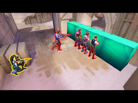 biggest coper hates my walls…