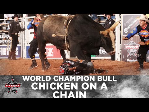 The 2007 World Finals Outs That Made Chicken on a Chain a World Champion Bucking Bull