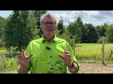 How to protect your plants from heat!