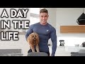 A Day in The Life of Zac Perna... And Bear