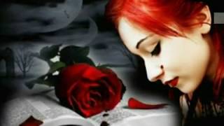 BRONCO   TE OLVIDARE 2020