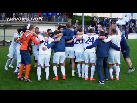 1. CfR Pforzheim - SV Waldhof Mannheim am 19.8.2014