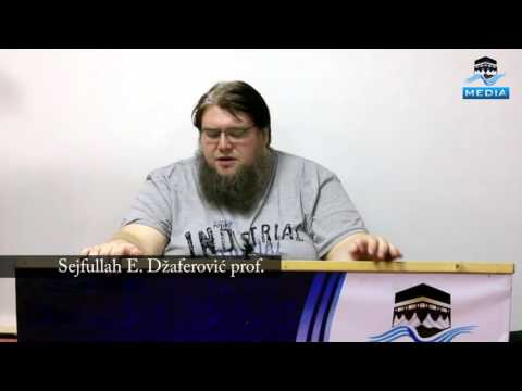 Utjecaj grijeha na sticanje znanja - Sejfullah E. Dzaferovic prof.