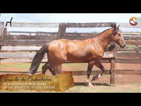 Impulso dos Castanheiros