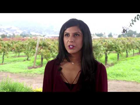 One or Two Vouchers for 15 Bottles of Premium Wine and a $25 Gift Voucher from Heartwood & Oak (Up to 71% Value) - Second Medium