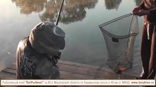 Ссылка