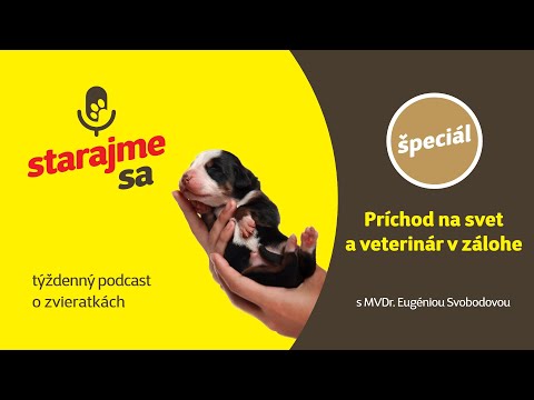 Starajme sa | Špeciál: Príchod na svet a veterinár v zálohe