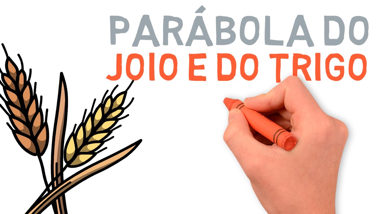 Significado da Parábola do Joio e do Trigo | #327 #estudobiblico #parabolasdejesus #joioetrigo