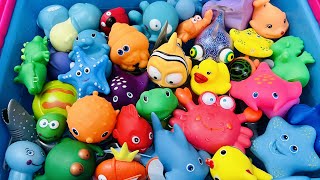 Learn farm animals for kids | Sea Animal Names and Facts | Sea Animals for Kids | Sea Animal Toys