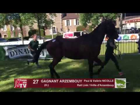 Sprinter Sacré Show 2018 : Lot 27 - GAGNANT ARZEMBOUY