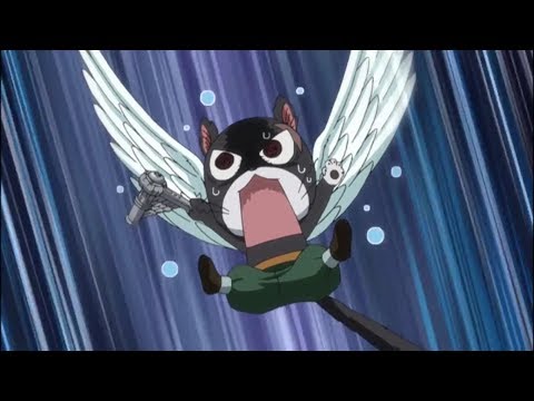 Fairy Tail Cats Names