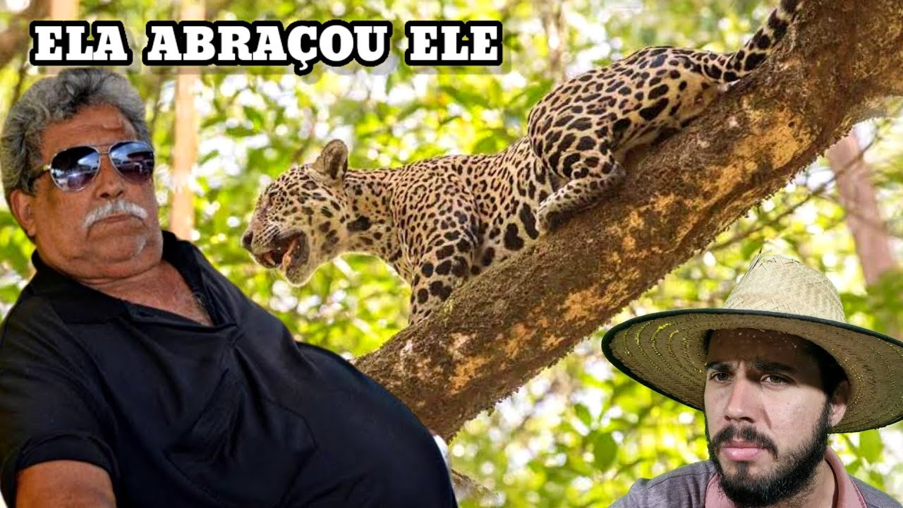 A última Caçada de ONÇA do Velho João Siqueira e seu Cachorro moreno.. Causos Caipiras