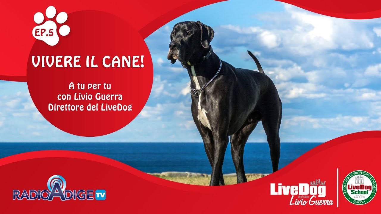 Descrizione dell'immagine