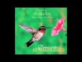 Dance of the Hummingbird - Dan Gibson's Solitudes