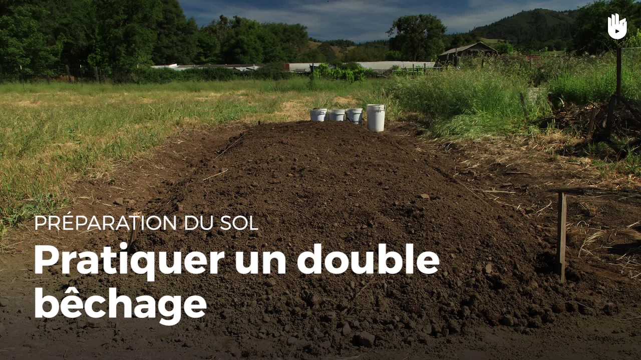 Pratiquer un double bêchage Cultiver une petite surface en préservant — free download