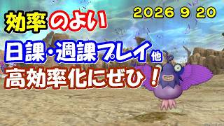 【ドラクエ10生配信No.338】効率のよい日課・週課など　2026.9.20