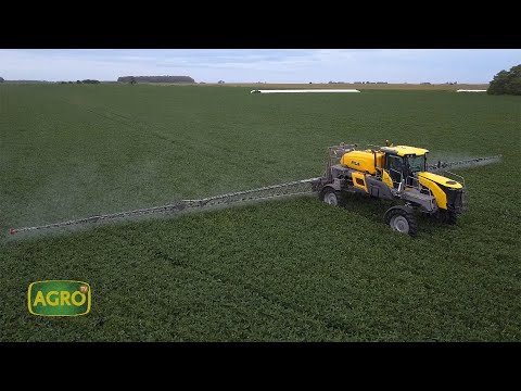 Plagas: Claves de manejo y tecnologías, para mejorar el sistema de control en soja (#965 2022-02-05)