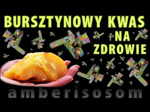 AMBER - what effect does succinic acid have on health?