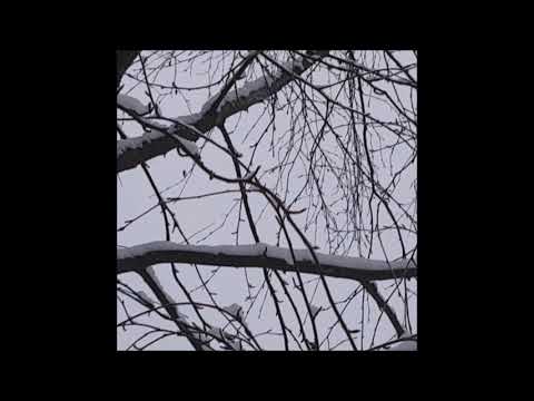 14. biocide - fallen / tear curtains [11.01.2019]