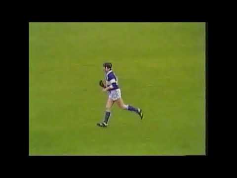 Laois v Wexford 1988 Leinster SHC