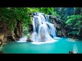 Relaxing Music For Stress Relief Anxiety And Depressive States Heal Mind Body And Soul