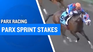 Buccherino Race Highlights