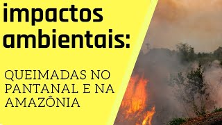 Impactos ambientais: Queimadas no Pantanal e na Amazônia