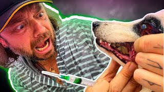 Miniatura do vídeo