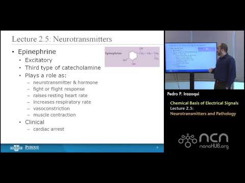 nanoHUB-U Bioelectricity L2.5: Chemical Basis - Neurotransmitters and Pathology