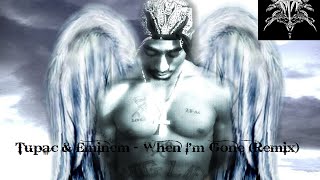 Eminem &amp; Tupac - When I&#39;m Gone (Remix)