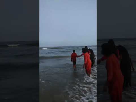 Highlight 28:55 - 33:55 from Cat Video | Zoya the Cat | Cute Cat Video