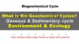 What is Biogeochemical cycles | Environment & Ecology