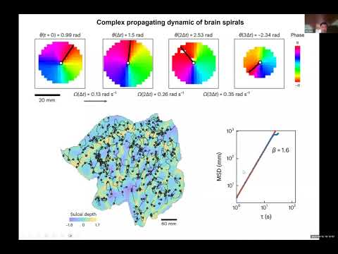 Pulin Gong: Interacting spiral wave patterns underlie complex brain dynamics