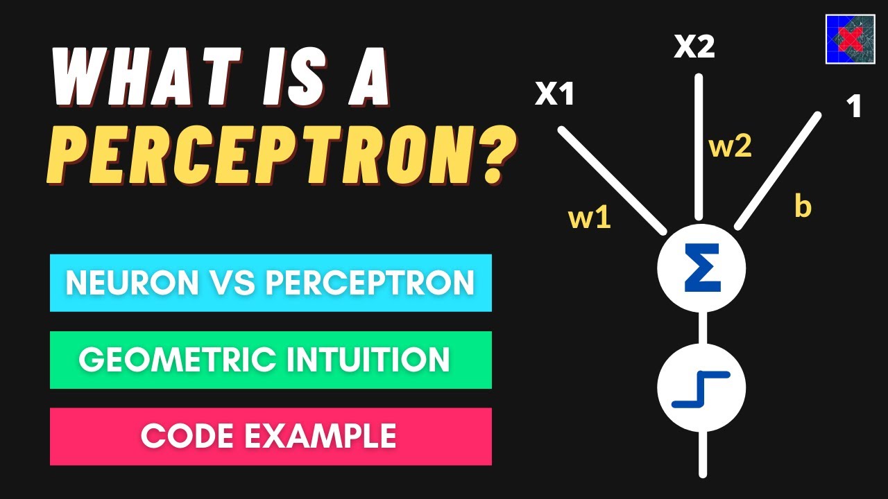 What is a Perceptron? Perceptron Vs Neuron | Perceptron Geometric Intuition