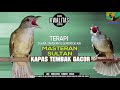 KAPAS TEMBAK GACOR DOR OWOR OWOR MASTERAN SULTAN DURASI 3 JAM