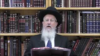 הגאון הרב אברהם יוסף שליט＂א האם מותר לטלטל מאכלים בשבת המיועדים לאדם אחר שבט תשפ"ו (רבנים שונים) - התמונה מוצגת ישירות מתוך אתר האינטרנט יוטיוב. זכויות היוצרים בתמונה שייכות ליוצרה. קישור קרדיט למקור התוכן נמצא בתוך דף הסרטון