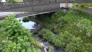 蓬莱橋映像監視局