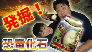 発掘！恐竜化石！！【れんチャンネル♡Ren Channel 】