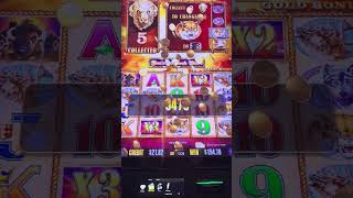 BIG WIN on BUFFALO GOLD === TRIPLE WILDS!!! FINALLY!