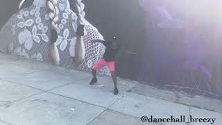 Sean Paul Ft Sefflon Don Jet Plane Trip (Dance) @malcolmbreezy