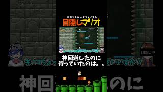 これでも見ずに登れ…【目隠しマリオ】