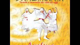 Arakne mediterranea Ci è taranta (taranta di Lizzano)