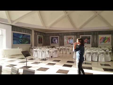 Sinergija - Sve dok dišen (Hari Rončević Cover)