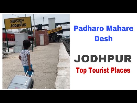 , title : 'Padharo Mahare Desh … || #shorts #youtubekids #reels #liyanpanwar #jodhpur'