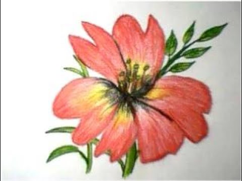 artful safdar|flower painting/a beautiful fancy flower|artful safdar